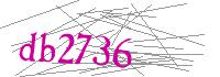 Visual Verification