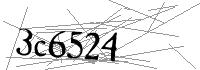 Visual Verification