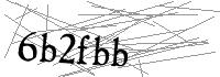 Visual Verification