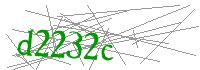 Visual Verification