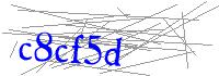 Visual Verification