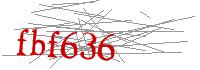 Visual Verification
