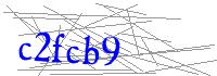 Visual Verification