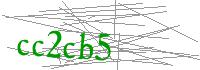 Visual Verification