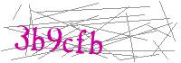 Visual Verification