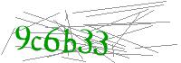 Visual Verification