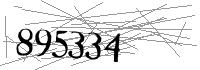 Visual Verification