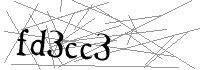 Visual Verification